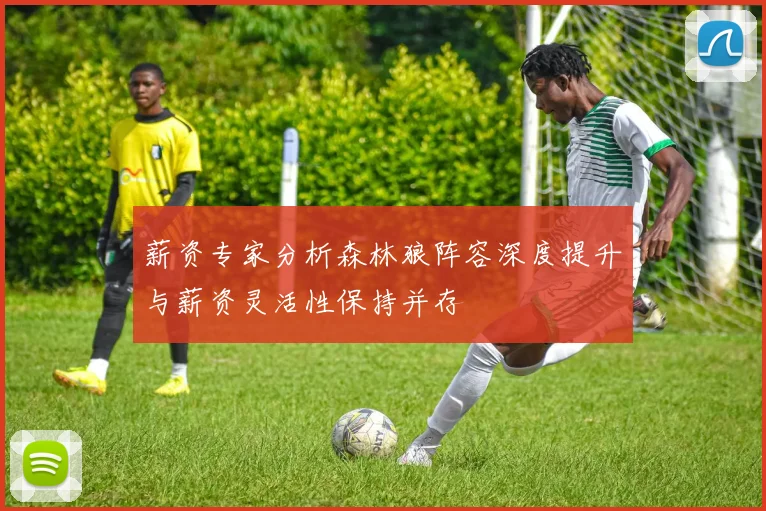 薪资专家分析森林狼阵容深度提升与薪资灵活性保持并存